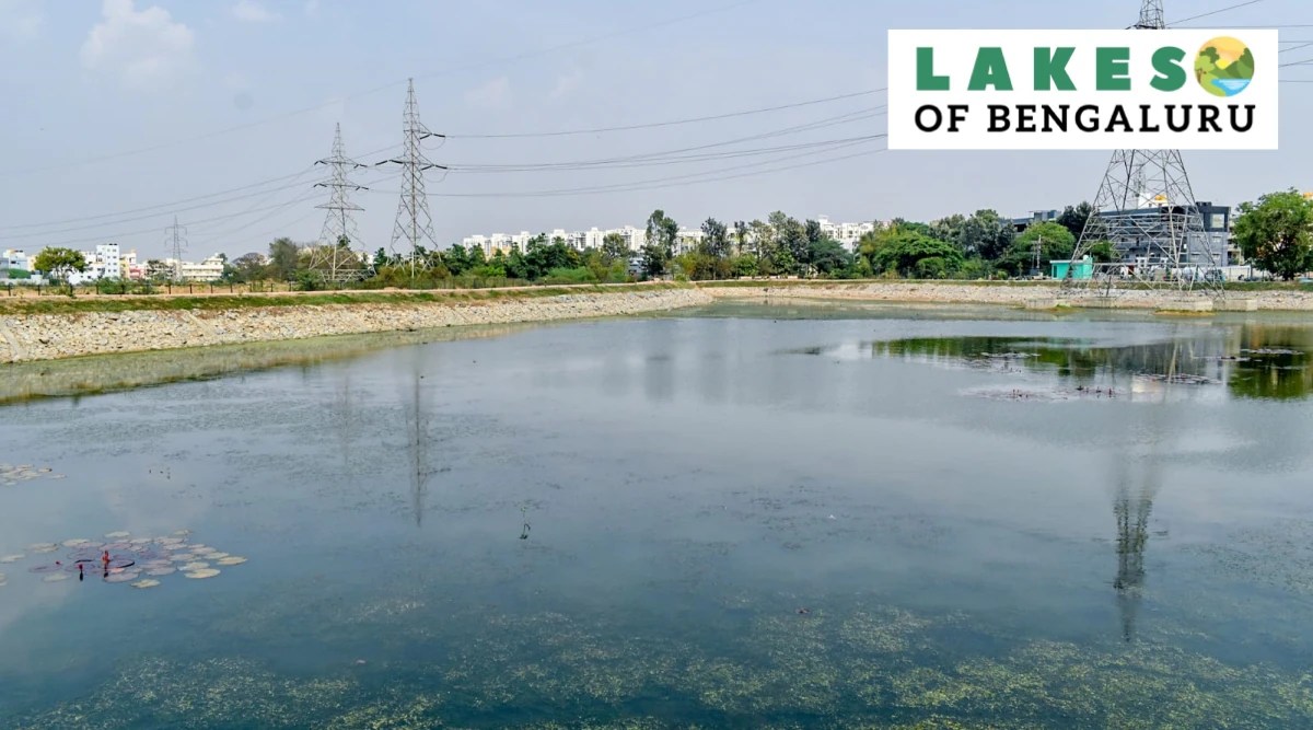 Lakes of Bengaluru At Rs 2.5 crore, Hoodi Lake is now a rejuvenated