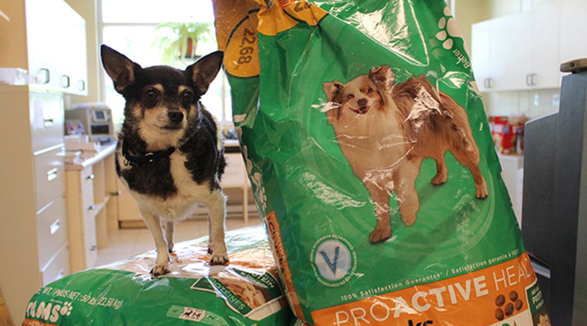 Can Milk Bones Cause Diarrhea In Dogs