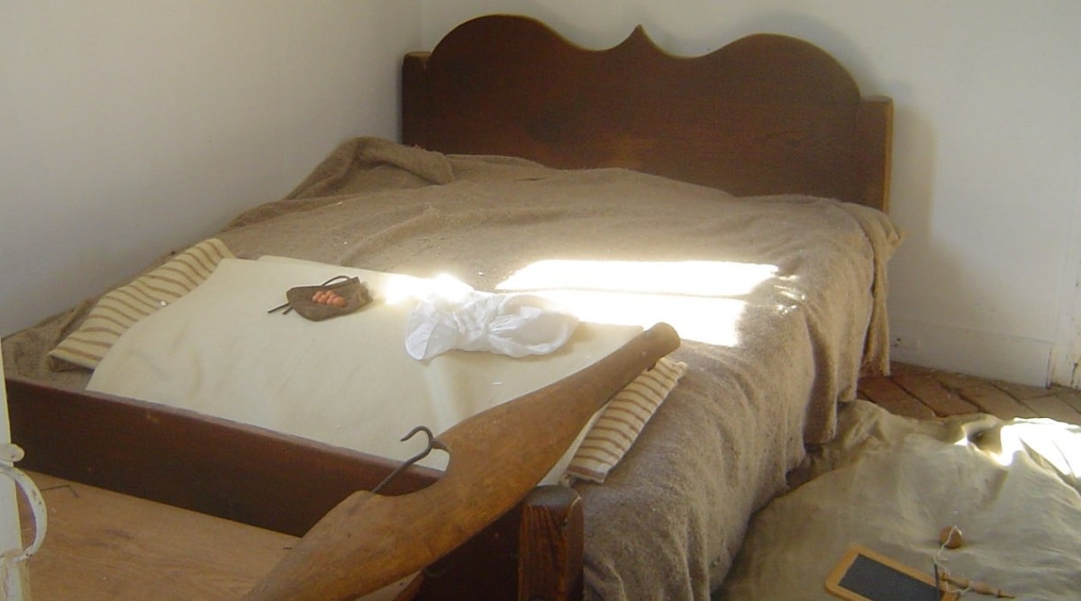 Bed bugs’ biggest impact may be on mental health after an infestation of these bloodsucking