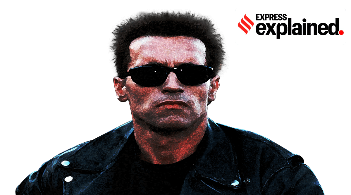 Explained What does 'hasta la vista' mean — literally and in popular