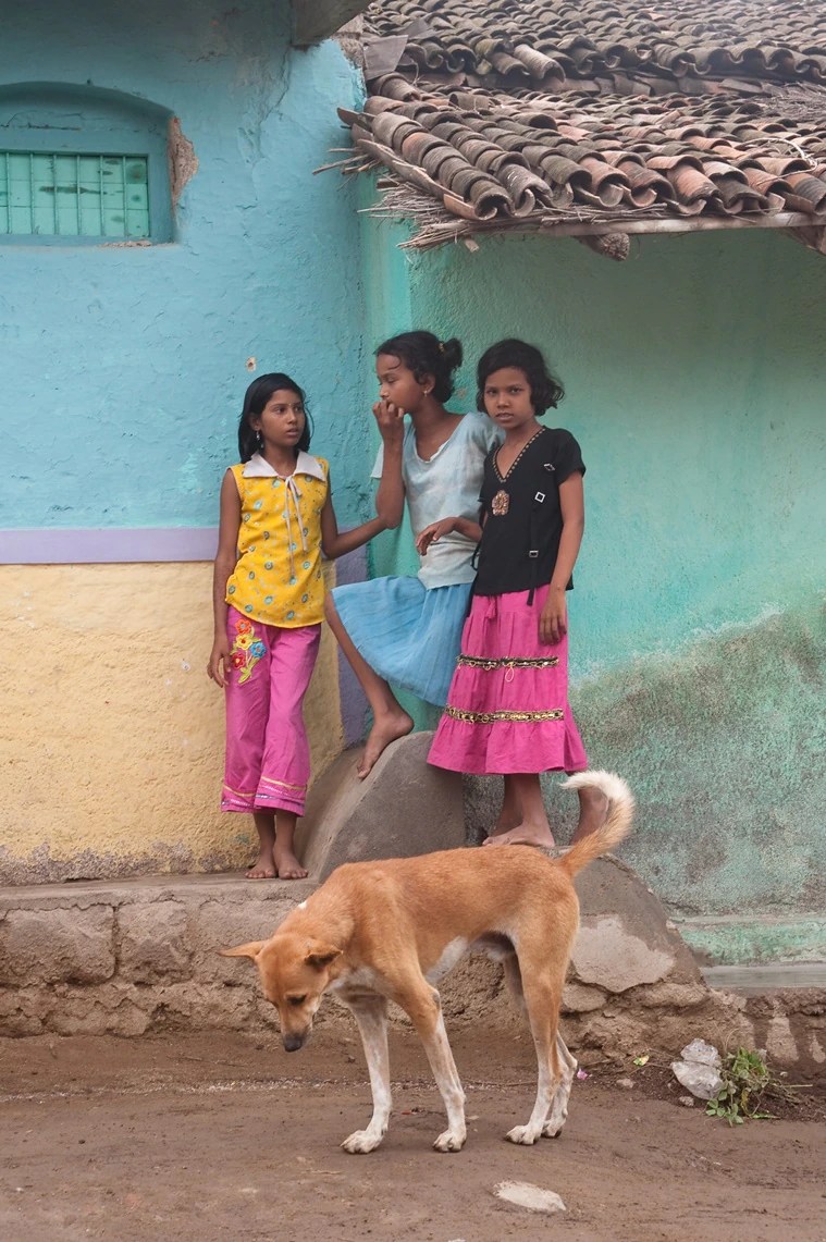 Psychology of a bite Experts on what prompts dogs to turn hostile