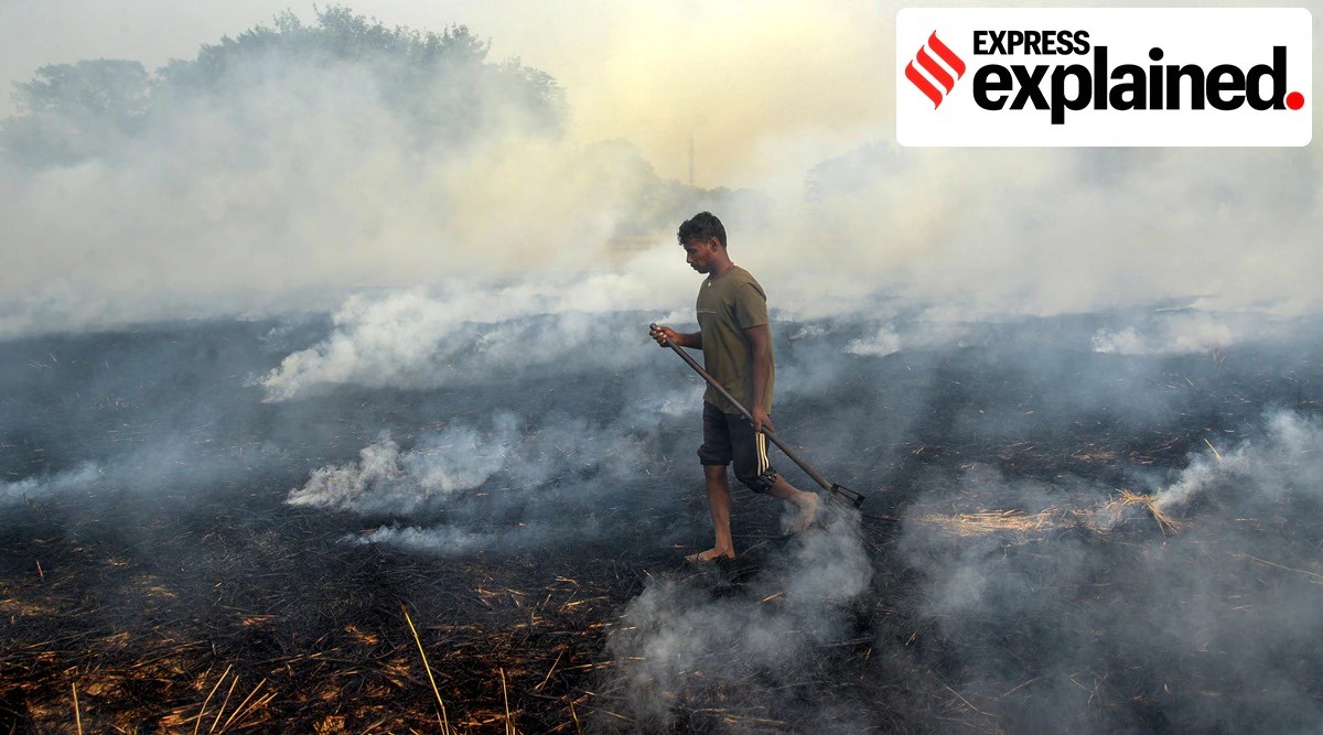 What is partial stubble burning and why do many farmers resort to this