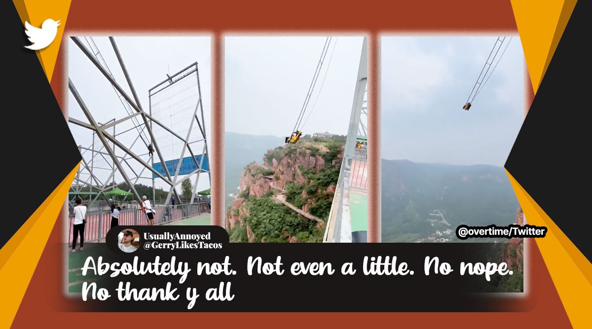 Watch This overthecliff swing is only for adrenaline junkies