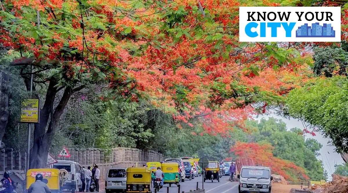 Know Your City Rain tree, gulmohar, mahogany—trees that dot Bengaluru