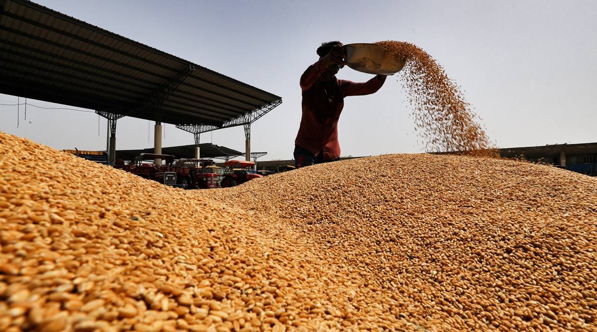 Budget documents show Fund cut for food grain procurement India News
