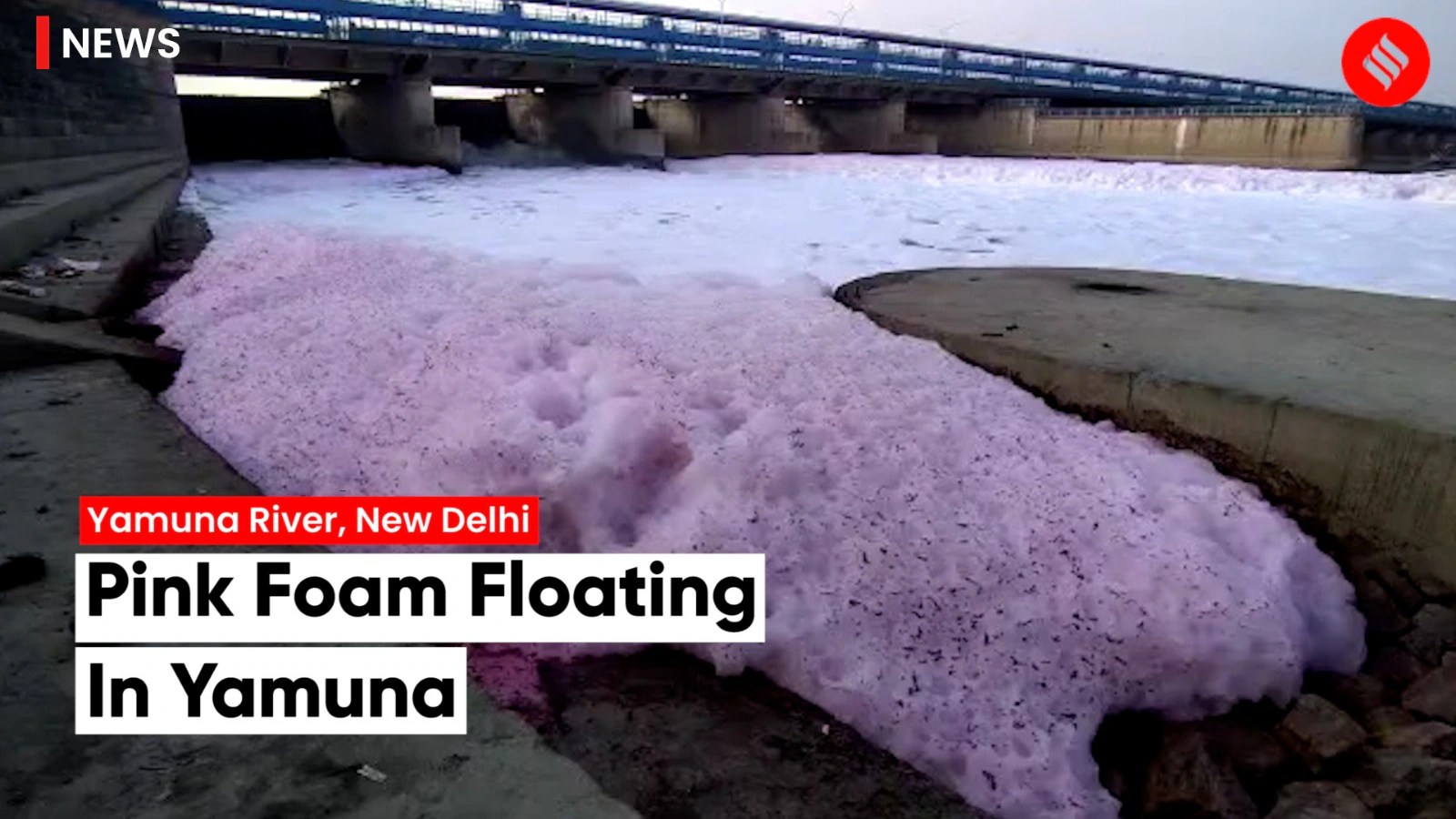 Pink foam from toxic industrial waste seen floating in yamuna river