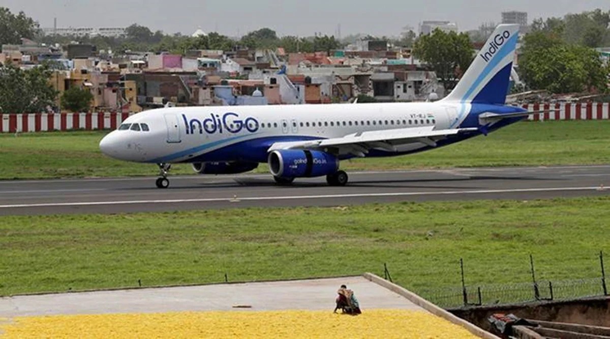 With Go First gone, IndiGo soars higher; May market share zooms past 60