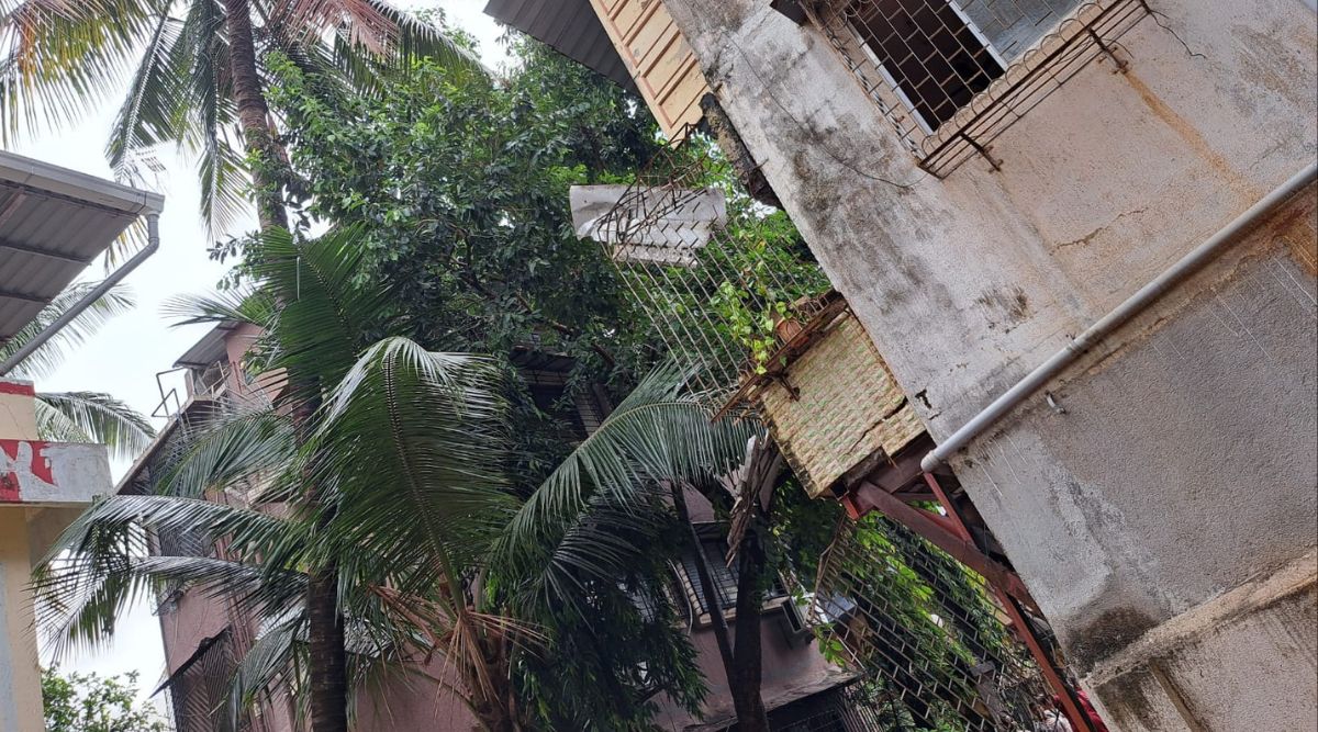 2 buildings partially collapse; 2 die in Vile Parle, 2 feared trapped