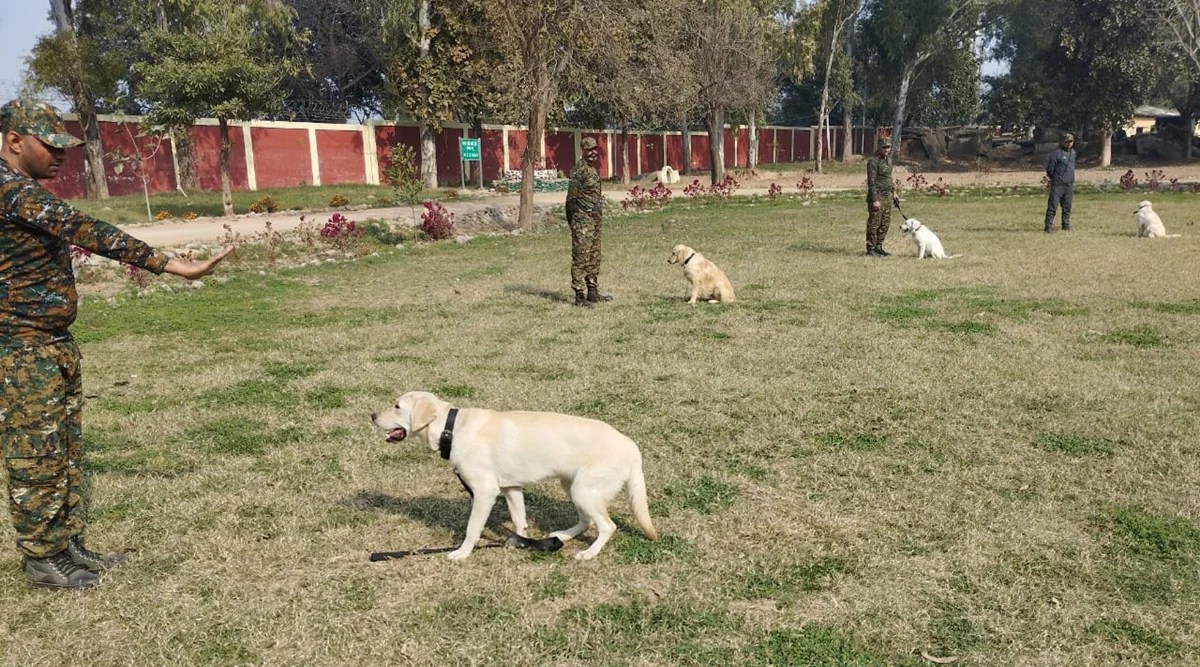 Soon, all 15 districts to have kennels to house Delhi Police dog squad