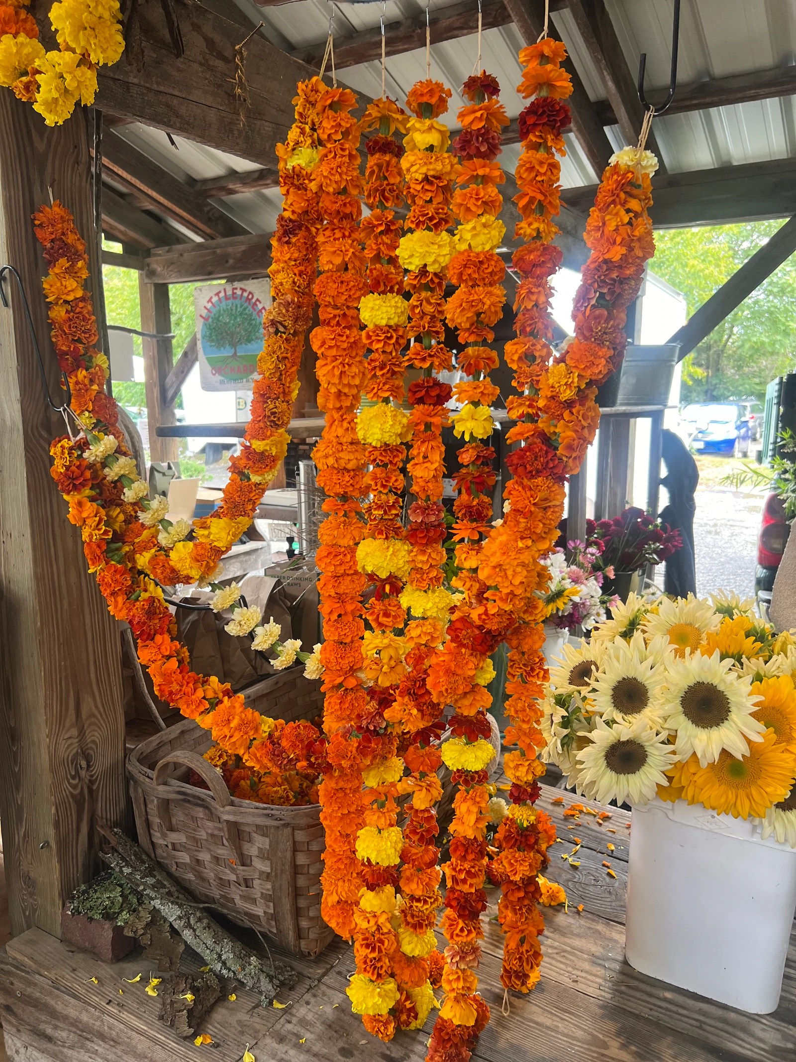 When diyas meet lanterns Cultural fusion of Diwali and Halloween