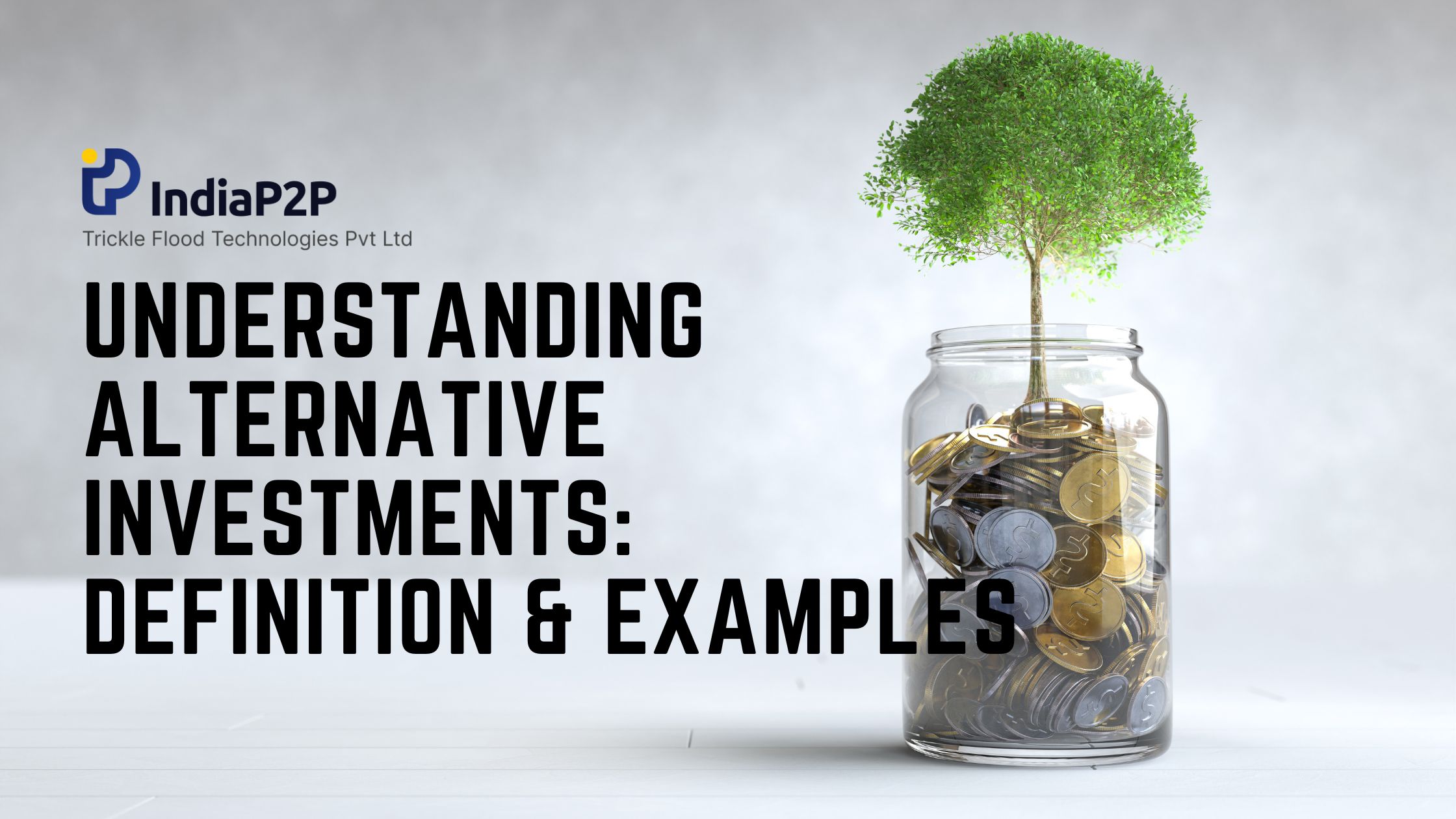 Understanding Alternative Investments Definition & Examples