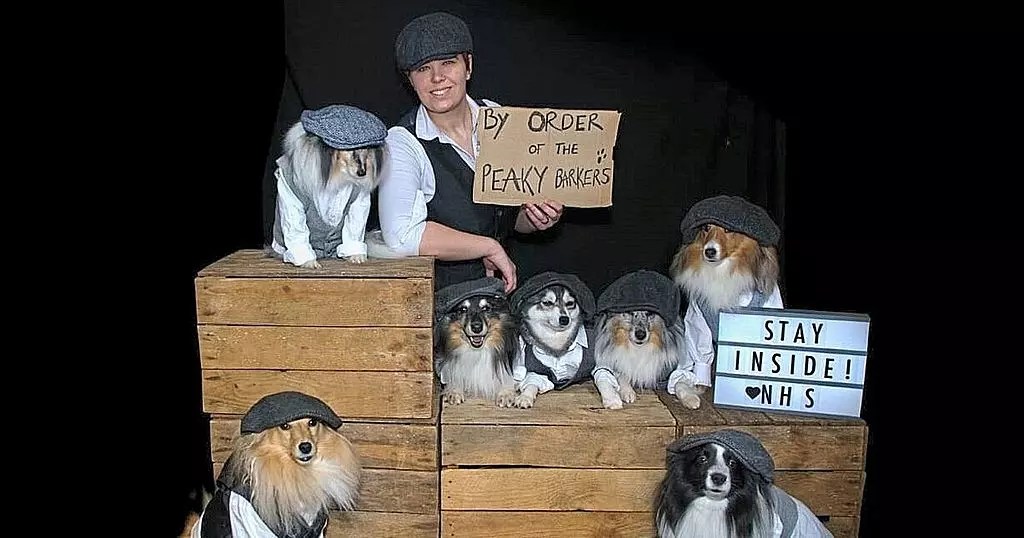 Scots ambulance worker dresses dogs in Peaky Blinders…