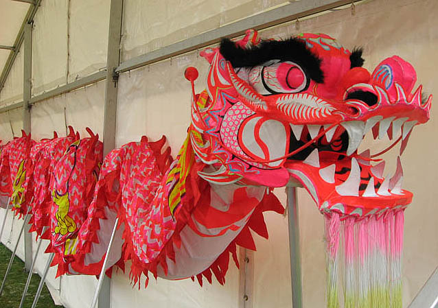 5 Chinese Dragons to celebrate New Year