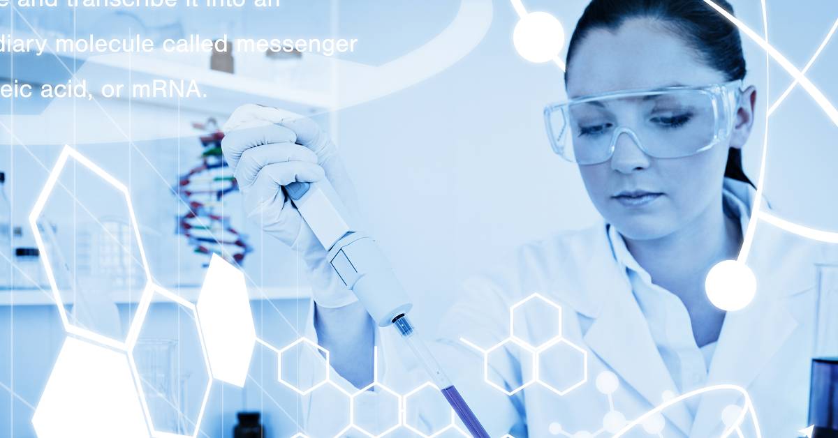 Best Biomedical Engineering Schools in the USA