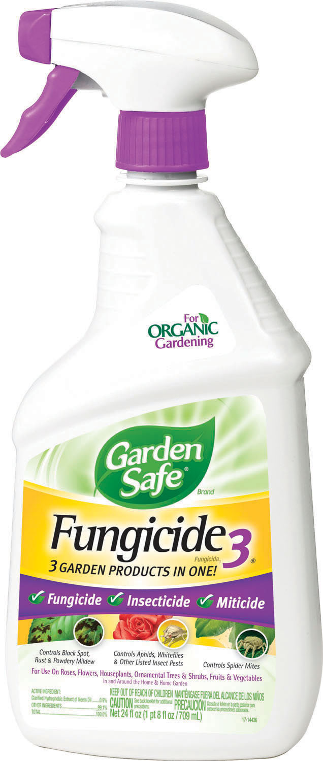 SpectracideGarden Safe Fungicide 3 Ready To Use Spray 24 Oz eBay