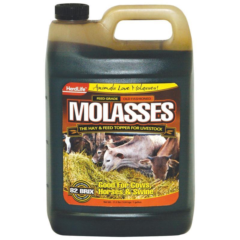EvolvedMolasses Livestock 1 Gallon eBay