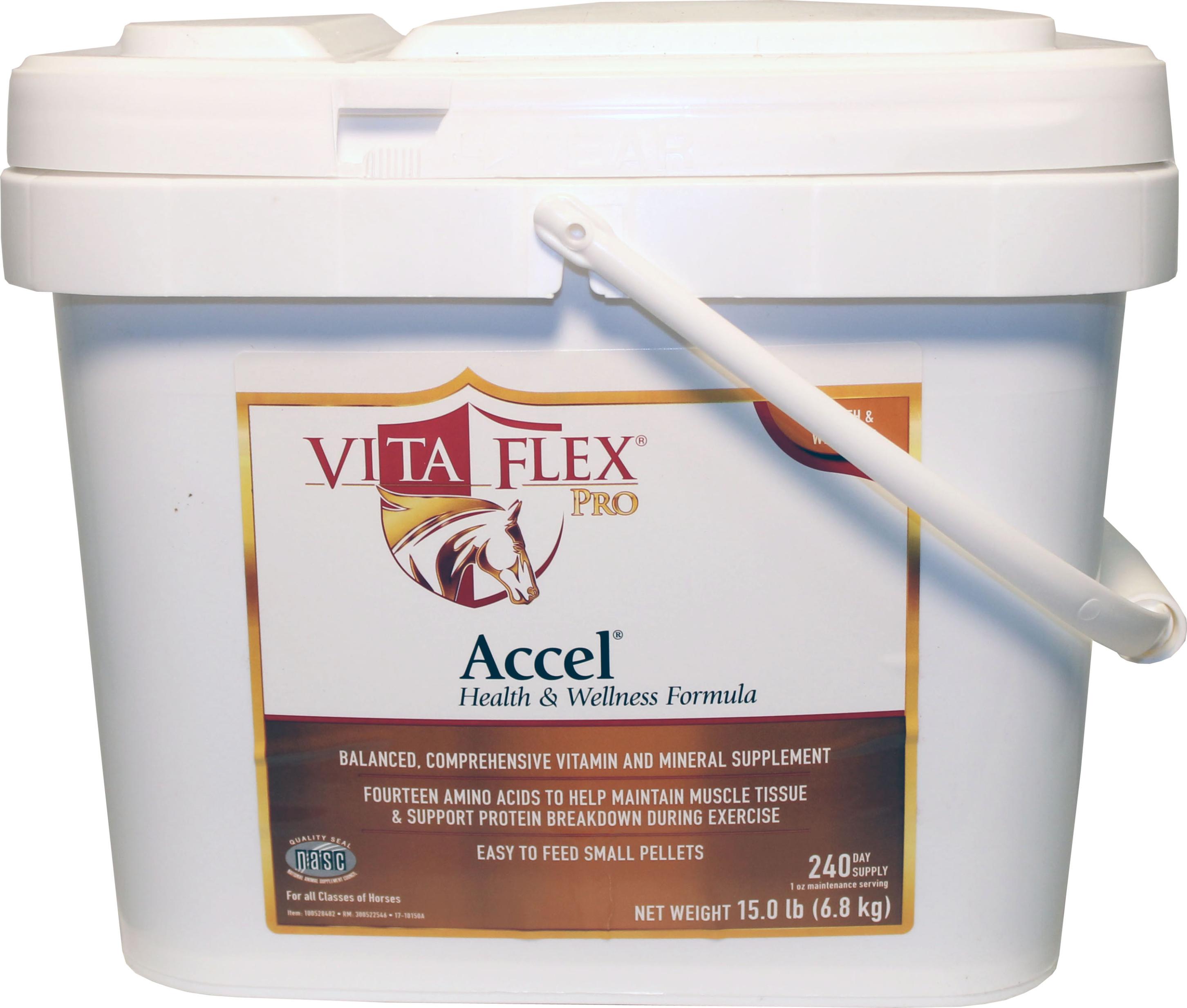 Accel Health And Wellness Pro 160 Day eBay