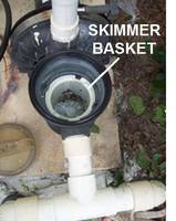 How To Clean Out a Pool Pump Impeller - INYOPools.com