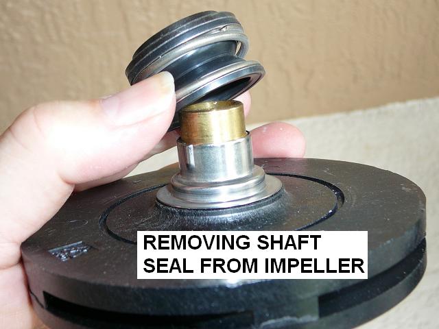 How To Replace A Pool Pump Impeller - INYOPools.com