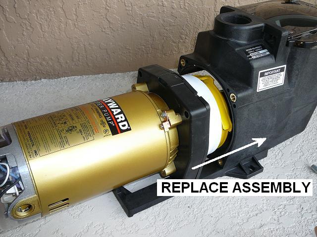 How To Replace A Pool Pump Impeller - INYOPools.com