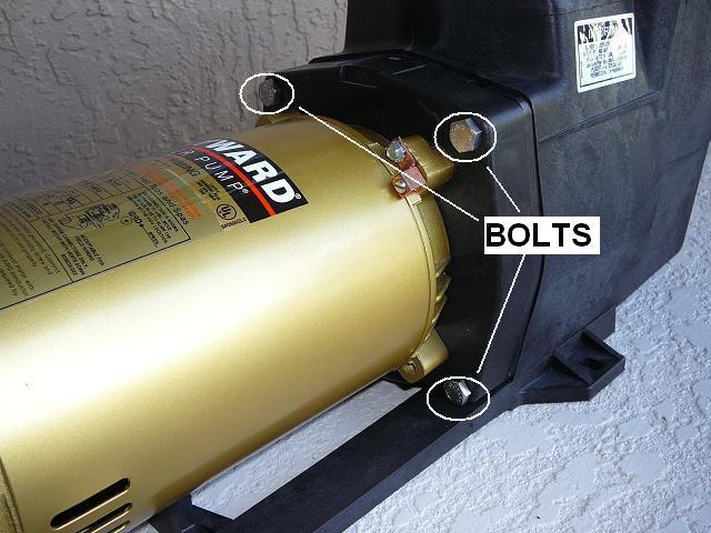 How To Replace A Pool Pump Impeller - INYOPools.com