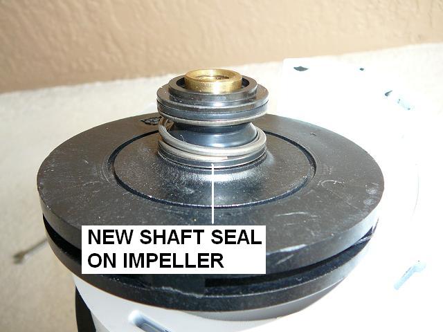 How To Replace a Pool Motor Shaft Seal - INYOPools.com