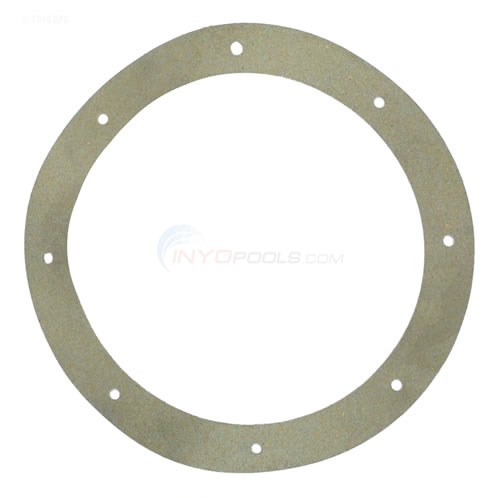 Pentair Gasket (070170079)