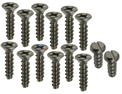 Hayward Screws, Set/14, 12 Hole Face P (spx1084z4a)