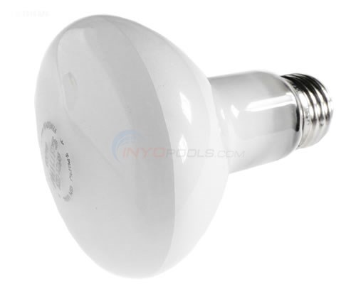 Spa Bulb Incandescent, 120V, 100W SPX0551Z4