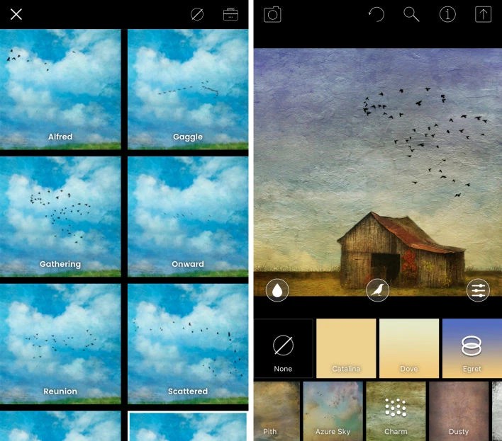Discover The Best Filter App For Enhancing Your iPhone Photos