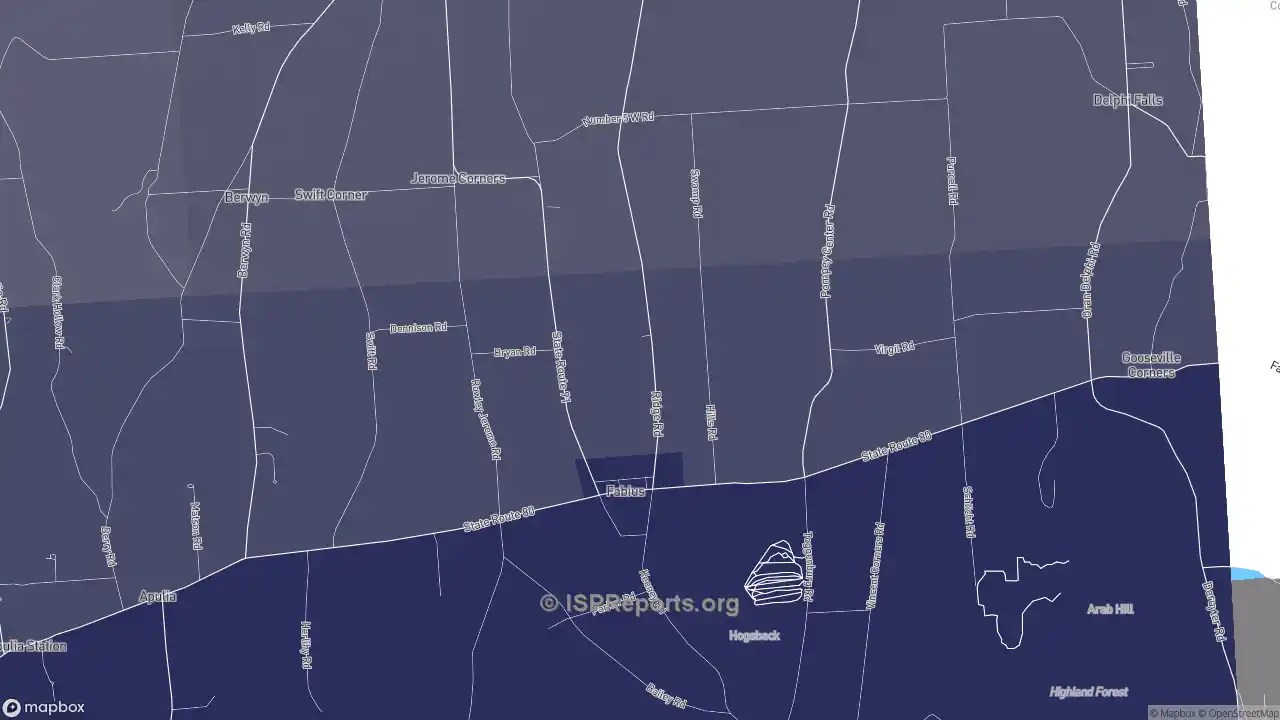 Place Business Template ISP Reports