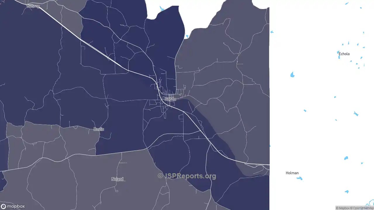 Business providers in Gordo, AL