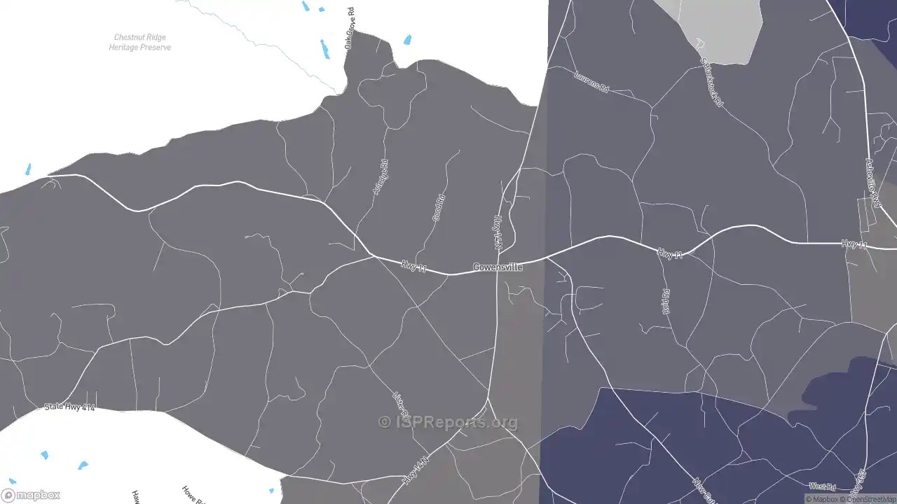 High Speed Providers in Gowensville, SC