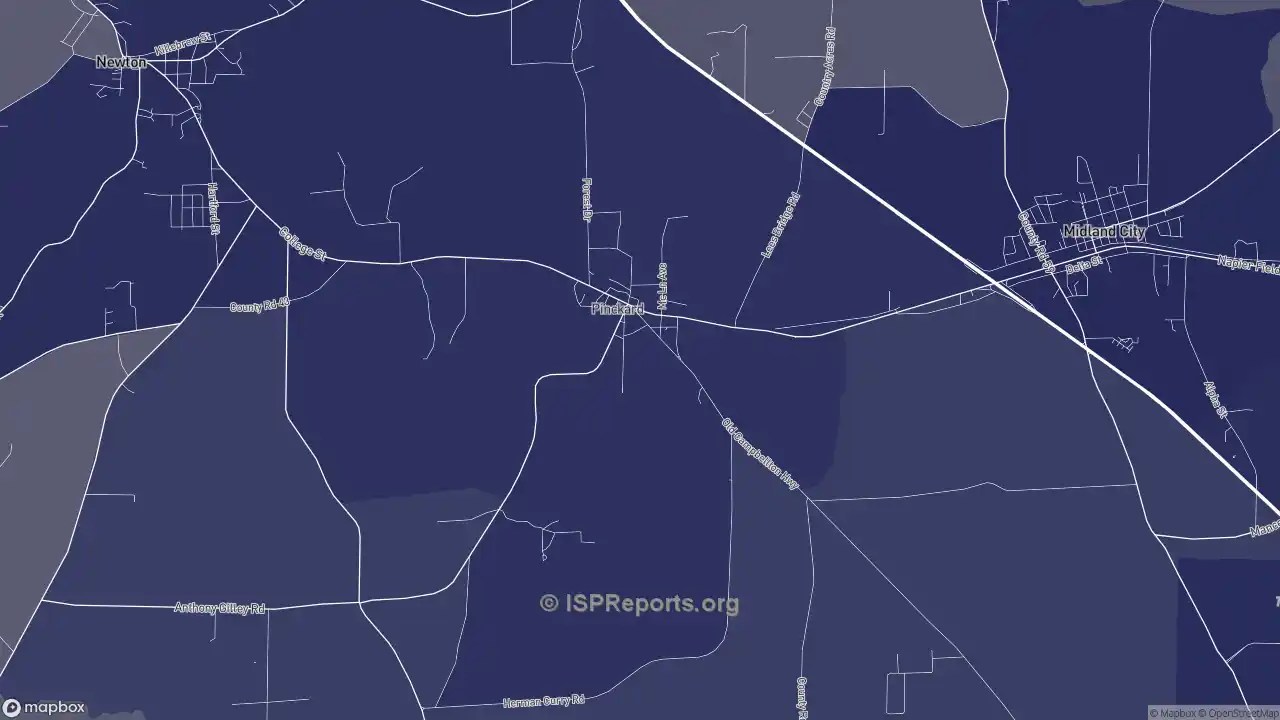 Business providers in Pinckard, AL