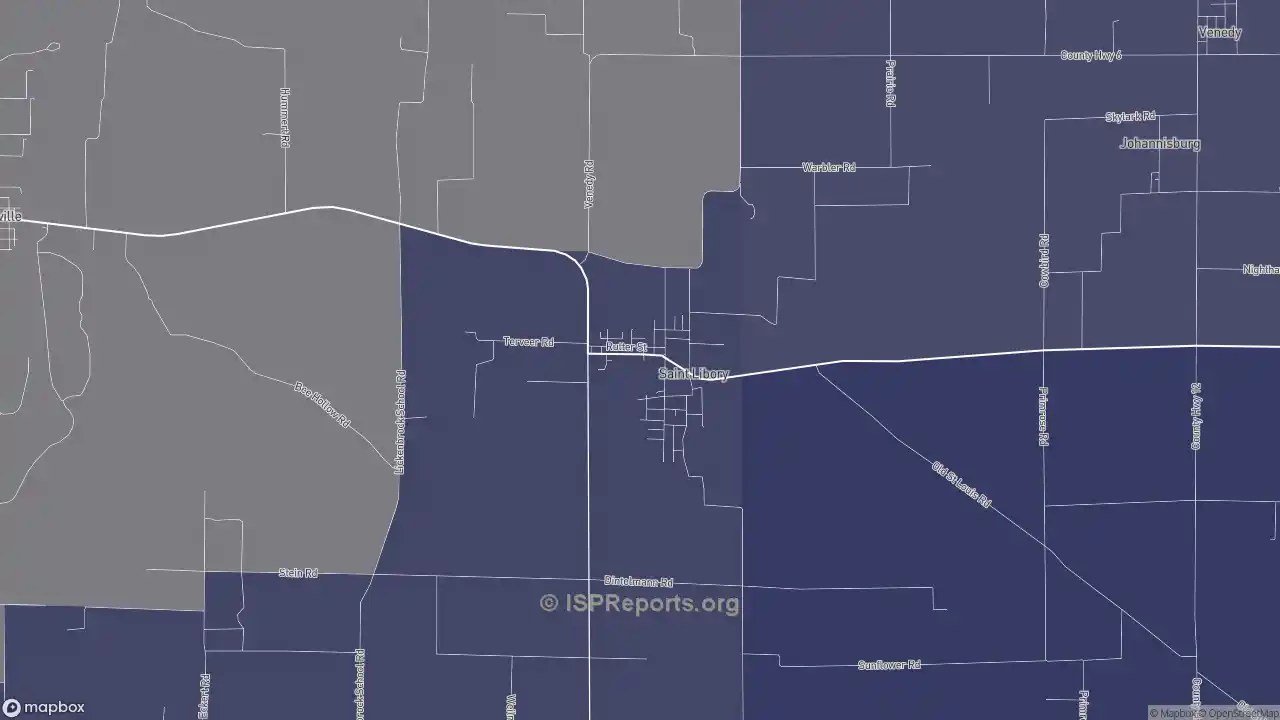 Business providers in St. Libory, IL