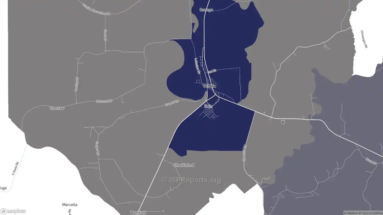 Business providers in Tchula, MS