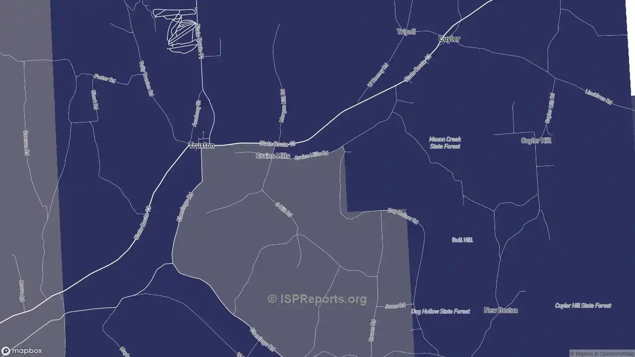 Place Business Template ISP Reports