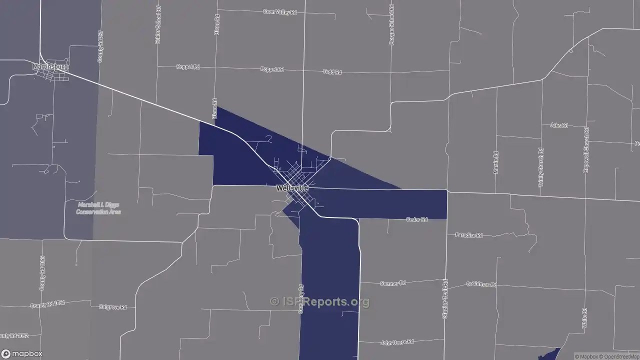 Business providers in Wellsville, MO