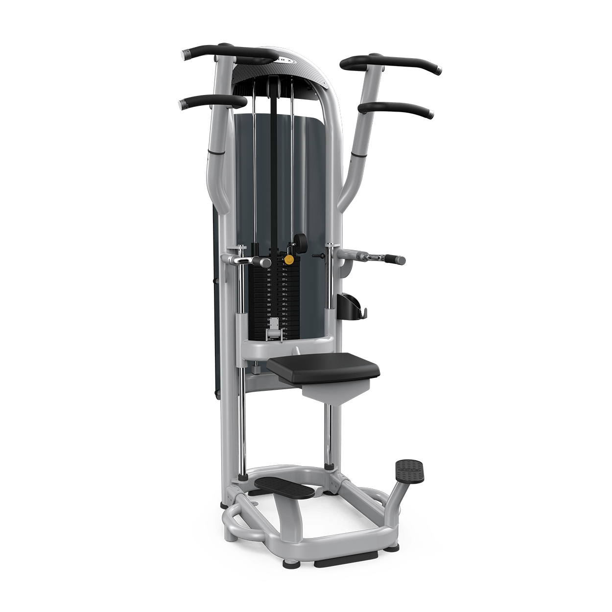 assisted dip chin machine benefits Brigitte Broussard