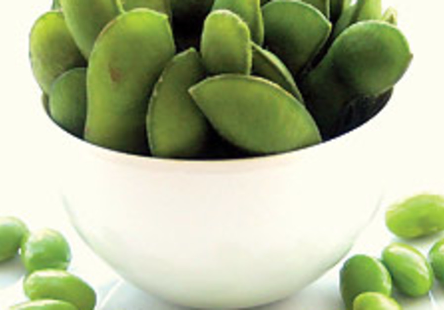 Super soy Arts & Culture Jerusalem Post