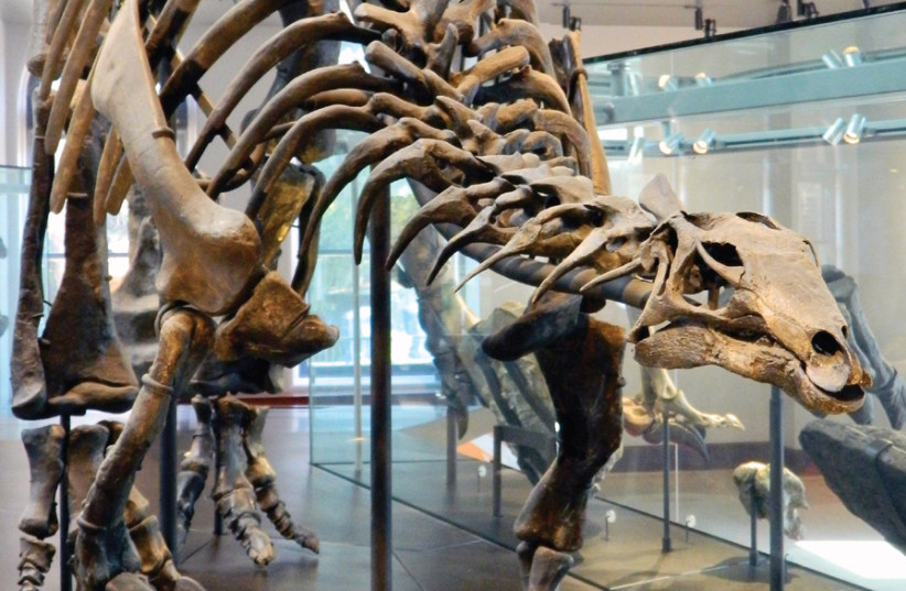 Fossil find adds to evidence of dinosaurs living in Arctic yearround