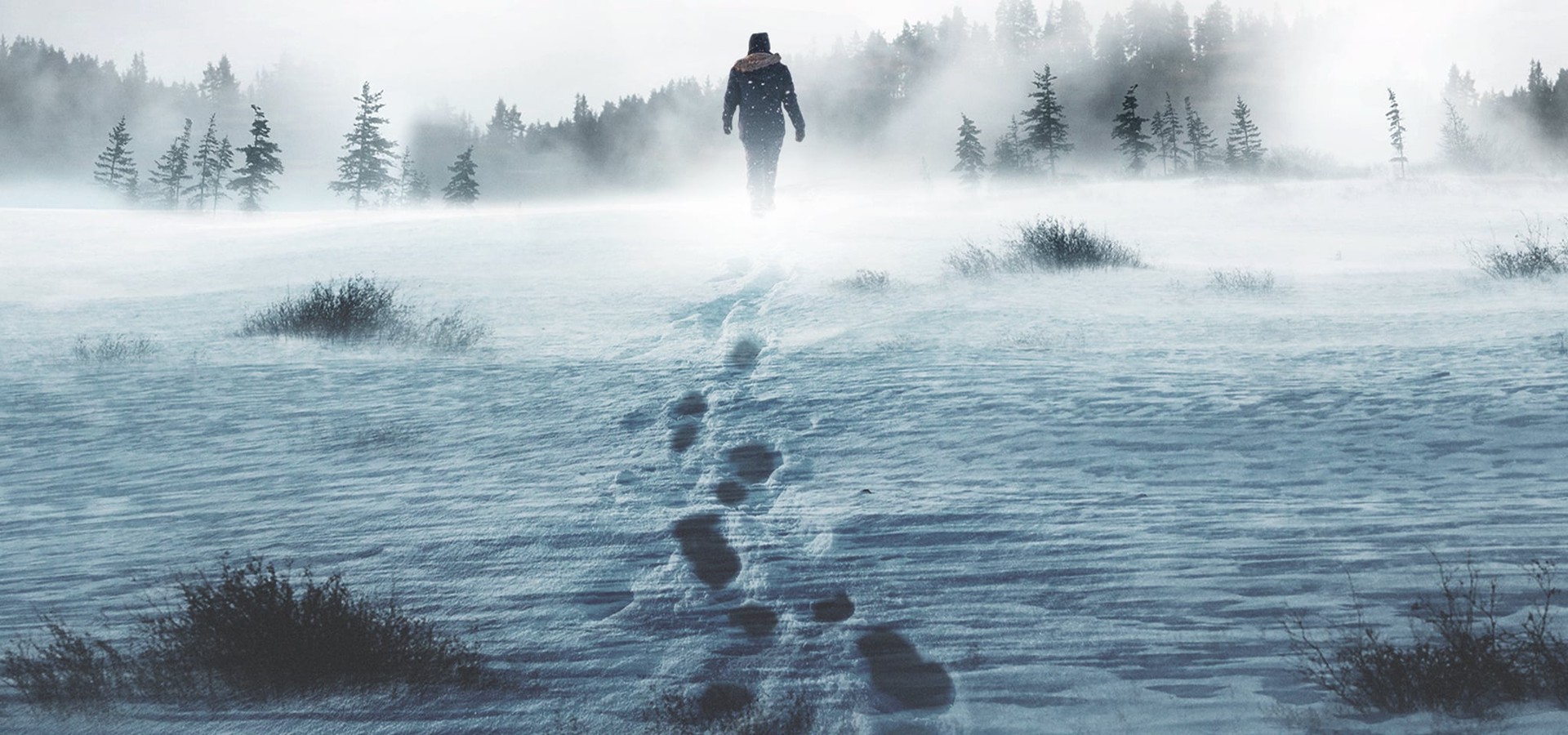 Alone Season 1 watch full episodes streaming online