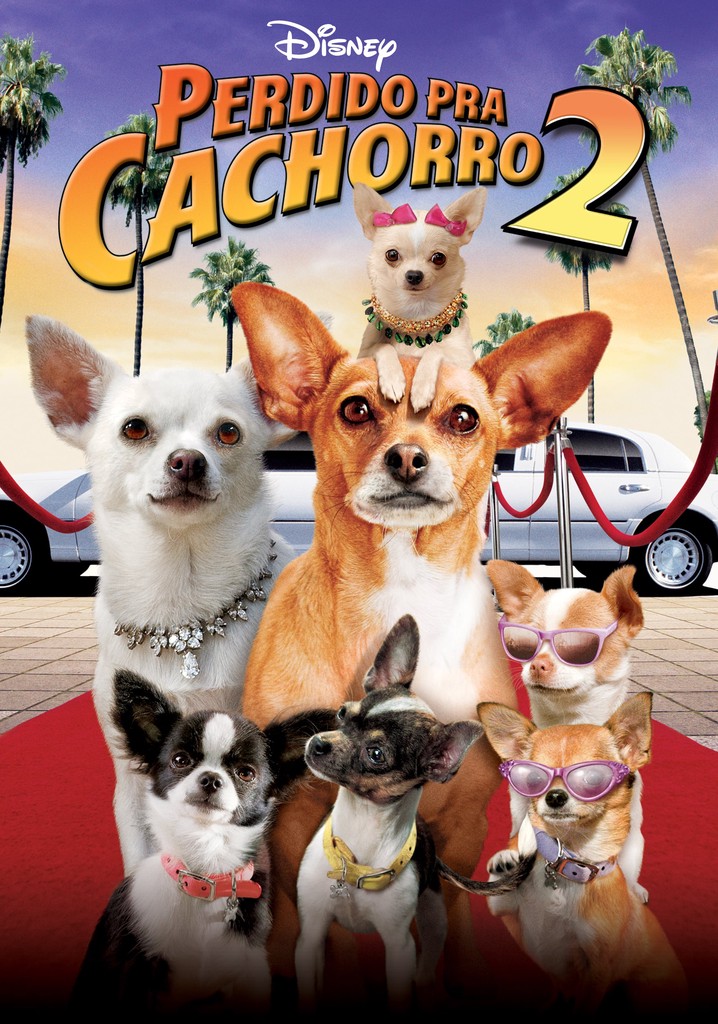 Perdido Pra Cachorro 2 filme Veja onde assistir