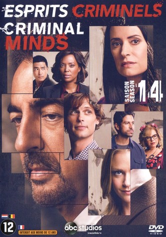 Esprit Criminel Saison 13 Streaming