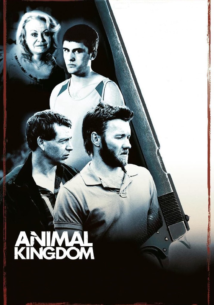 Animal Kingdom movie watch streaming online