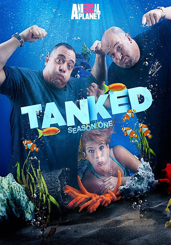 Die AquariumProfis Staffel 1 Jetzt Stream anschauen