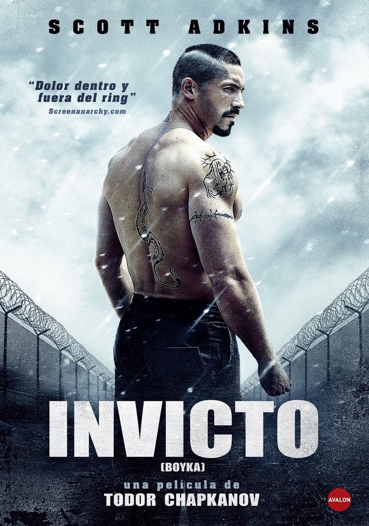 Boyka Invicto IV película Ver online en español