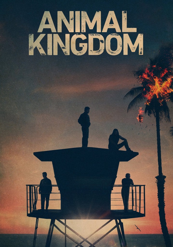 Regarder la série Animal Kingdom streaming