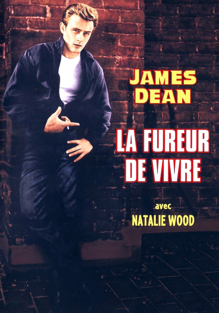 Regarder La fureur de vivre en streaming complet