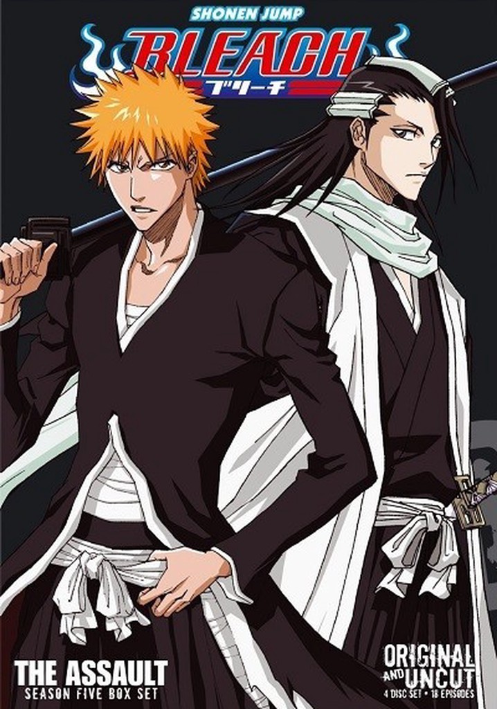 Bleach Season 5 watch full episodes streaming online